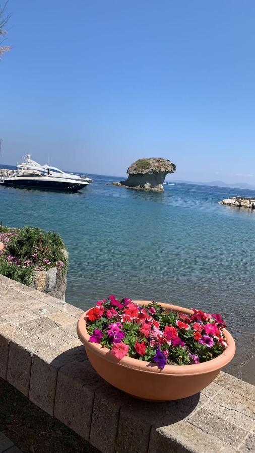 Villa Martina Suite Apartament Lacco Ameno  Dış mekan fotoğraf