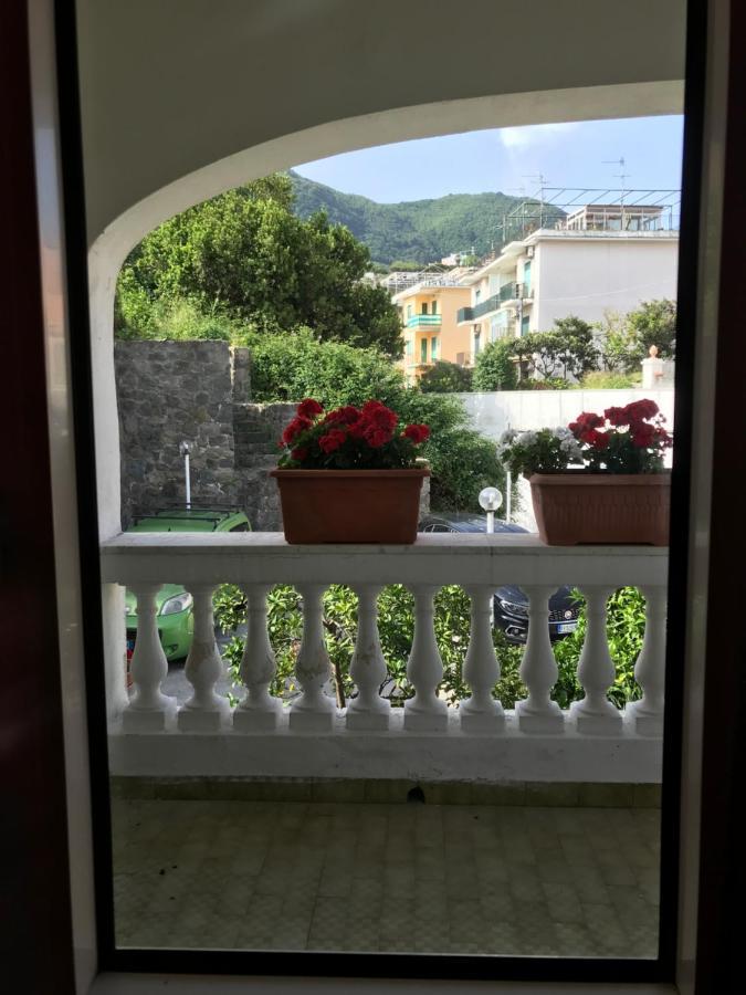 Villa Martina Suite Apartament Lacco Ameno  Dış mekan fotoğraf