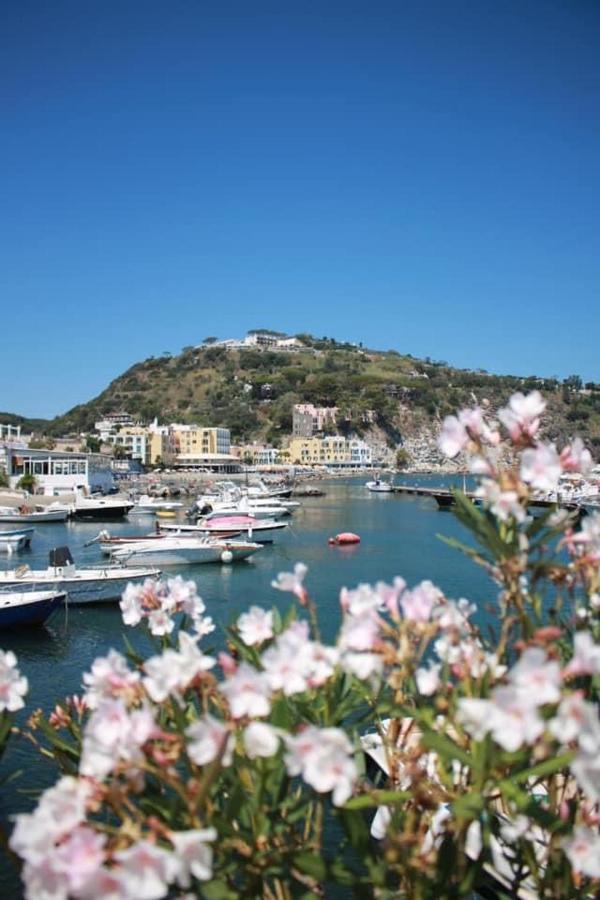 Villa Martina Suite Apartament Lacco Ameno  Dış mekan fotoğraf