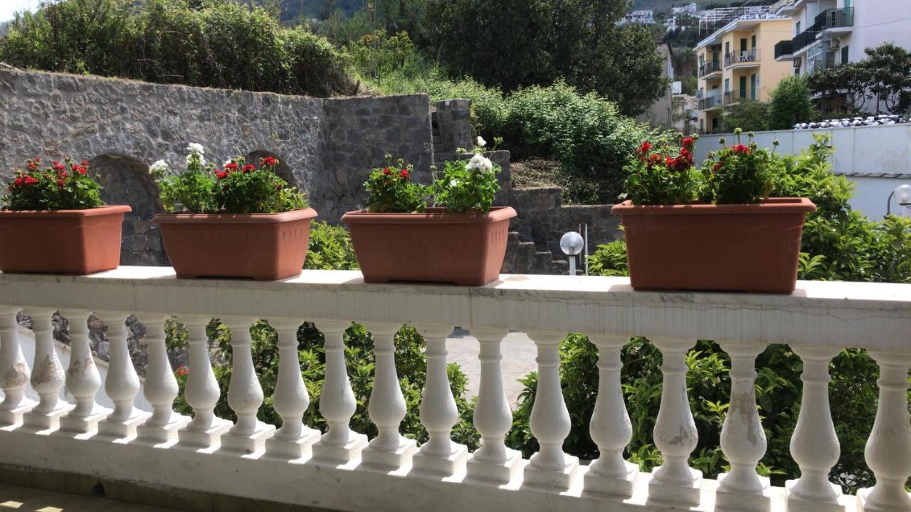 Villa Martina Suite Apartament Lacco Ameno  Dış mekan fotoğraf