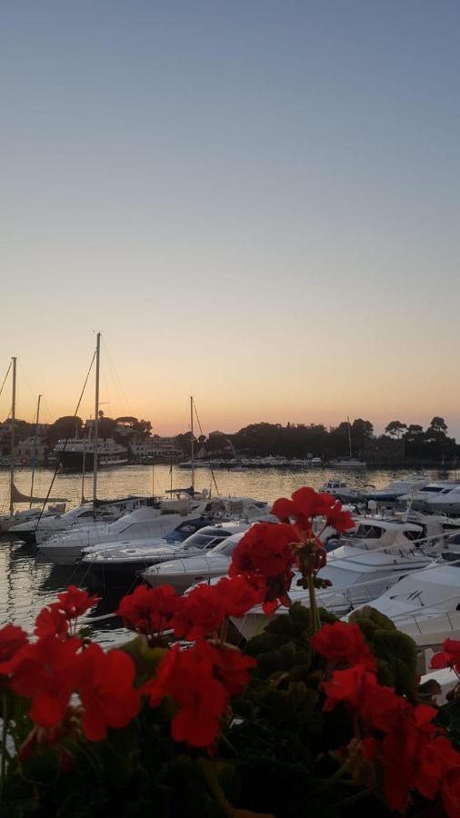 Villa Martina Suite Apartament Lacco Ameno  Dış mekan fotoğraf
