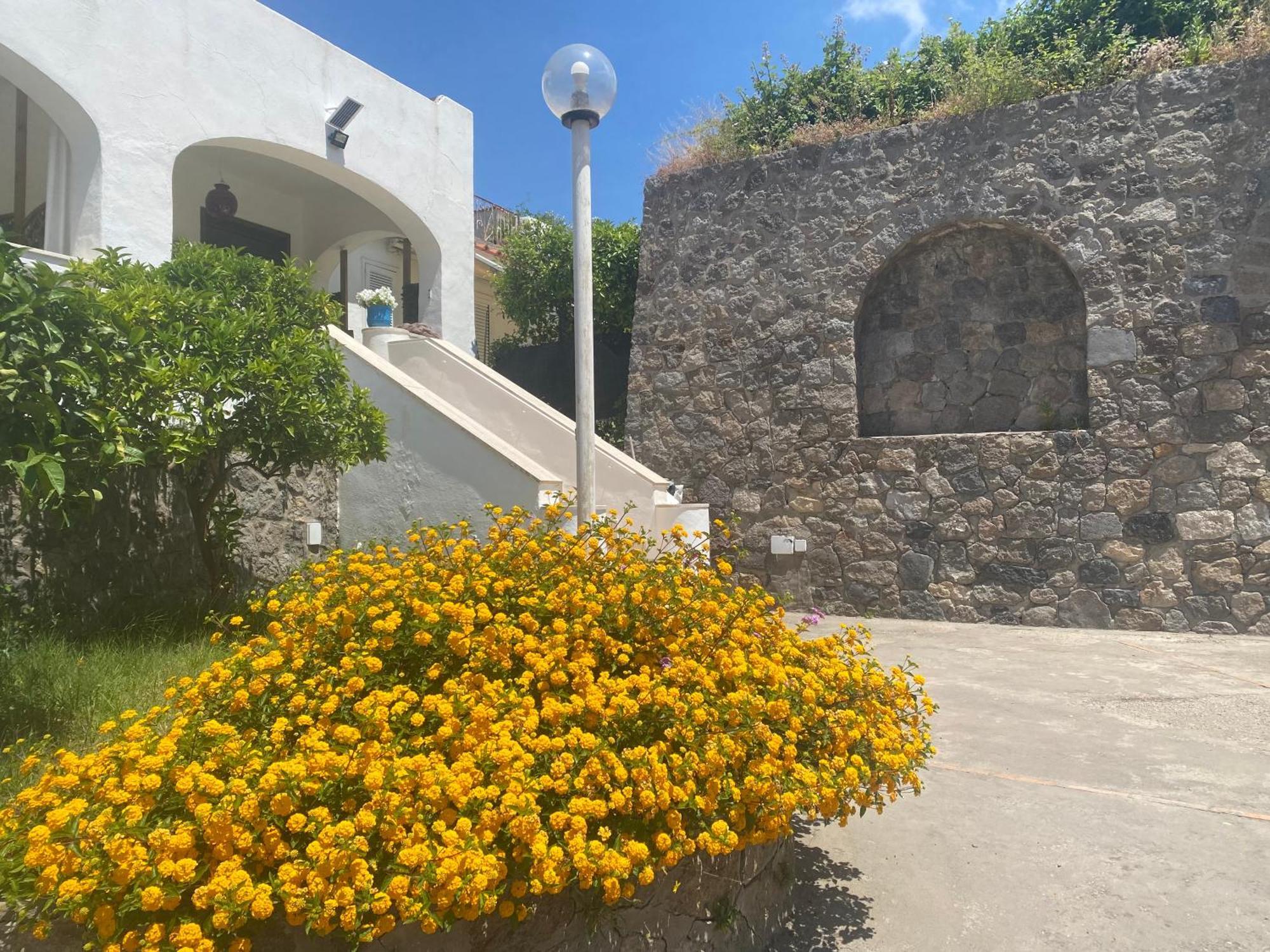Villa Martina Suite Apartament Lacco Ameno  Dış mekan fotoğraf